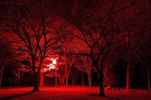 Featured image of post Light Red Aesthetic Background Landscape